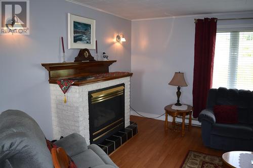 366 Main Road, Gaskiers, NL - Indoor Photo Showing Living Room With Fireplace