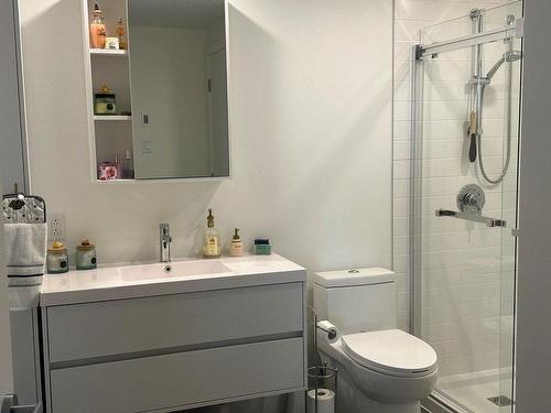 Salle de bains - #611-170 Rue Principale, Saint-Zotique, QC - Indoor Photo Showing Bathroom