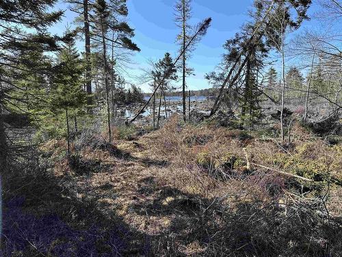 Lot 1-23 Hwy 331, Mill Village, NS 