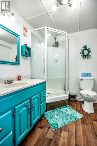 193 Ridge Road, Spaniards Bay, NL - Indoor Photo Showing Bathroom