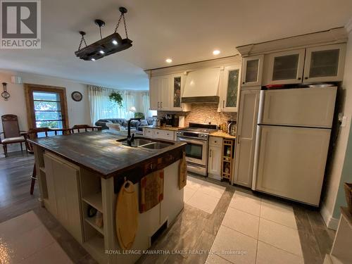 8056 Highway 35  N, Kawartha Lakes, ON - Indoor Photo Showing Kitchen With Double Sink