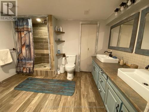 8056 Highway 35  N, Kawartha Lakes, ON - Indoor Photo Showing Bathroom