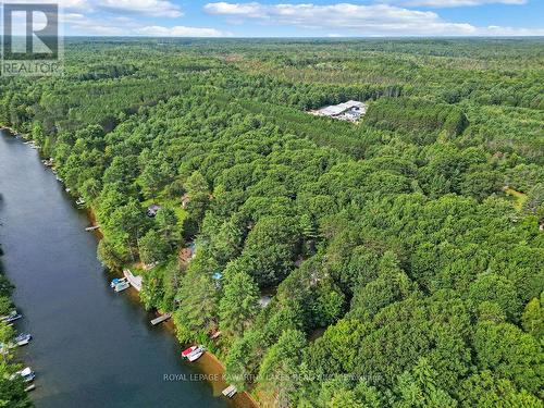 8056 Highway 35  N, Kawartha Lakes, ON - Outdoor With Body Of Water With View