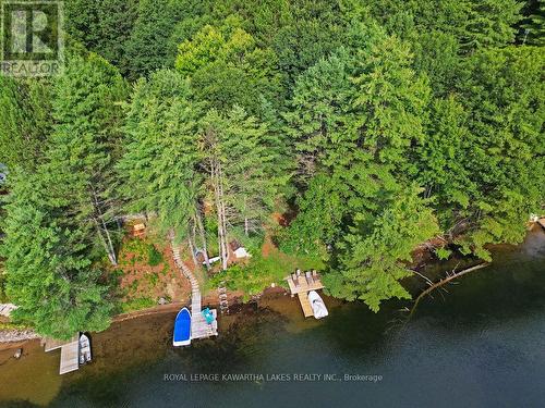 8056 Highway 35  N, Kawartha Lakes, ON - Outdoor With Body Of Water