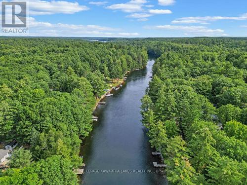 8056 Highway 35  N, Kawartha Lakes, ON - Outdoor With Body Of Water With View