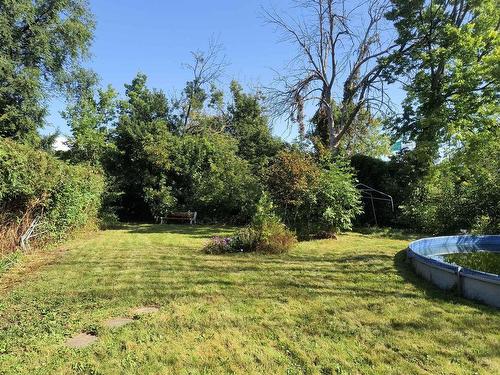 Backyard - 211 Boul. La Fayette, Longueuil (Le Vieux-Longueuil), QC - Outdoor