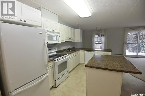 308 215 1St Street E, Nipawin, SK - Indoor Photo Showing Kitchen With Double Sink