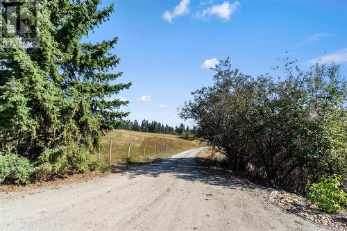 1291 Otter Lake Road, Armstrong, BC - Outdoor With View