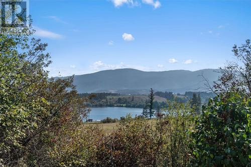 1291 Otter Lake Road, Armstrong, BC - Outdoor With Body Of Water With View