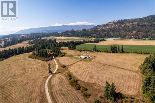 1291 Otter Lake Road, Armstrong, BC - Outdoor With View