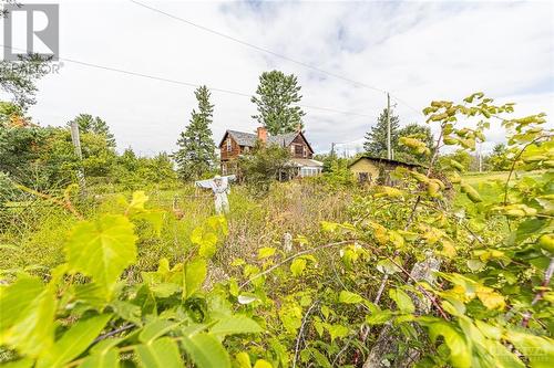 Fields upon fields stretch through the property! - 5689 Ferry Road, Ottawa, ON - Outdoor