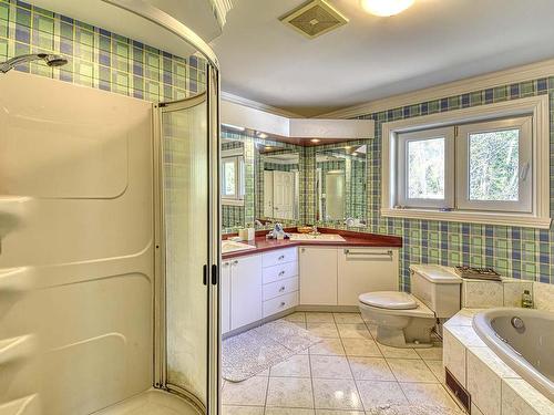 Salle de bains - 80 Ch. Du Moulin-David, Lac-Supérieur, QC - Indoor Photo Showing Bathroom