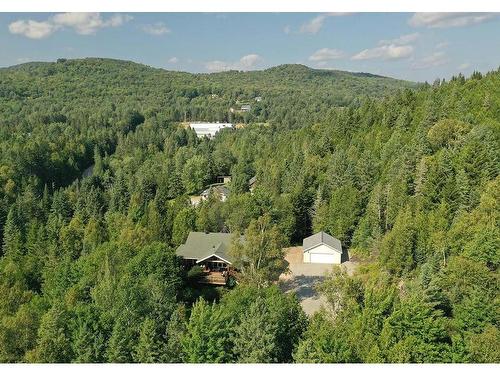 Overall view - 80 Ch. Du Moulin-David, Lac-Supérieur, QC - Outdoor With View