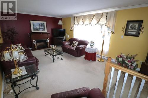 9 Newtown Road, Seal Cove, NL - Indoor Photo Showing Living Room