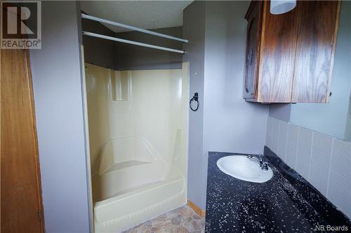 362 Route 380, Lake Edward, NB - Indoor Photo Showing Bathroom