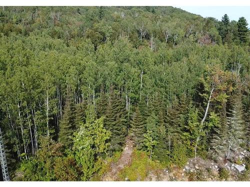 Terre/Terrain - 1 Ch. De La Montagne, Saint-Siméon, QC - Outdoor With View