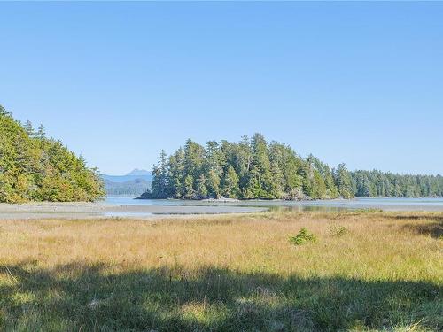 1252 Pacific Rim Hwy, Tofino, BC - Outdoor With View