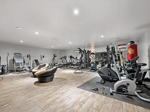 Exercise room - 195 Rue Vercingétorix, Saint-Calixte, QC - Indoor Photo Showing Gym Room