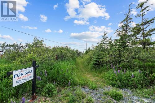 32 Salmonier Line, Holyrood, NL 