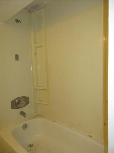 713 Cedar Street, Dunnville, ON - Indoor Photo Showing Bathroom