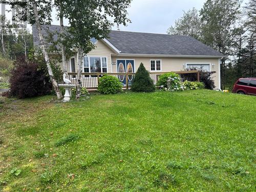 50 Birchy Point, Campbellton, NL - Outdoor With Deck Patio Veranda