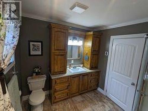 50 Birchy Point, Campbellton, NL - Indoor Photo Showing Bathroom