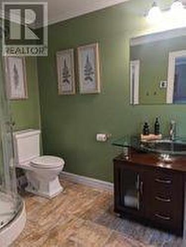 50 Birchy Point, Campbellton, NL - Indoor Photo Showing Bathroom