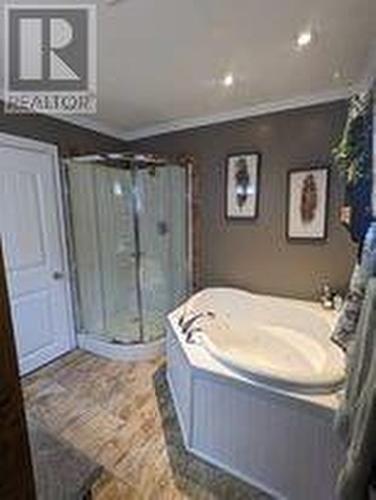 50 Birchy Point, Campbellton, NL - Indoor Photo Showing Bathroom