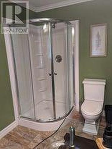 50 Birchy Point, Campbellton, NL - Indoor Photo Showing Bathroom