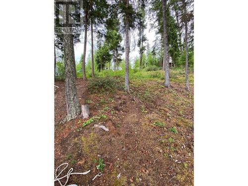 Lot 36 S Somerset Drive, Cluculz Lake, BC 