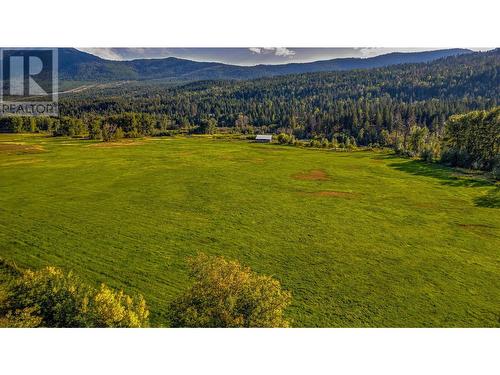 3977 Dear Road, Falkland, BC - Outdoor With View