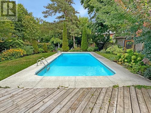 169 Albert St, Belleville, ON - Outdoor With In Ground Pool With Deck Patio Veranda With Backyard