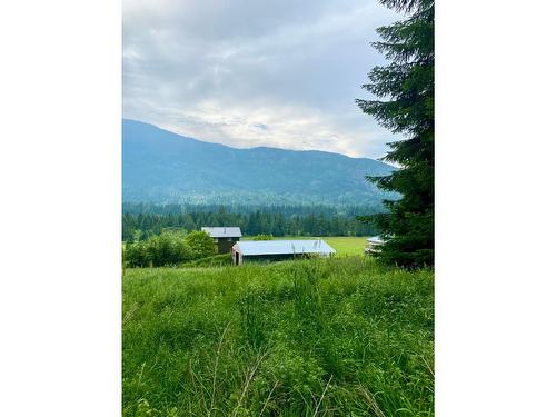 2284 Upper Glade Road, Glade, BC - Outdoor With View