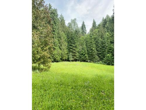 2284 Upper Glade Road, Glade, BC - Outdoor