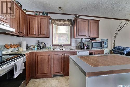 105 Mcintosh Street, Markinch, SK - Indoor Photo Showing Kitchen With Double Sink