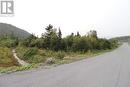 12 Hollands Memorial Drive, Norris Point, NL 