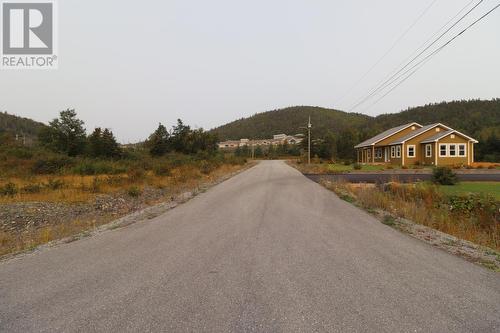 3 Bugden Place, Norris Point, NL 