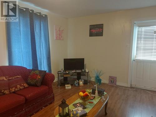 27 W Water Street, Channel-Port Aux Basques, NL - Indoor Photo Showing Living Room