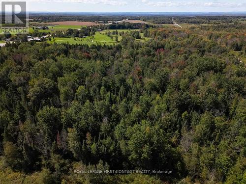 3828 George Johnston Road, Springwater, ON - Outdoor With View