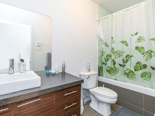 Bathroom - 6-3540 Rue Jeanne-Mance, Montréal (Le Plateau-Mont-Royal), QC - Indoor Photo Showing Bathroom