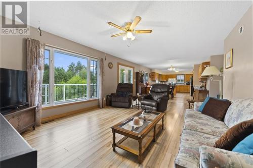 3049B Chapeskie Road, Barry'S Bay, ON - Indoor Photo Showing Living Room