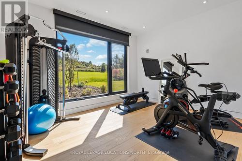 106 George Mcrae Rd, Blue Mountains, ON - Indoor Photo Showing Gym Room