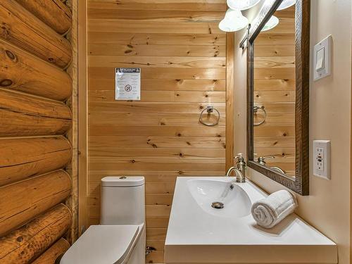 Powder room - 433Z Rue Ioan, Wentworth-Nord, QC - Indoor Photo Showing Bathroom