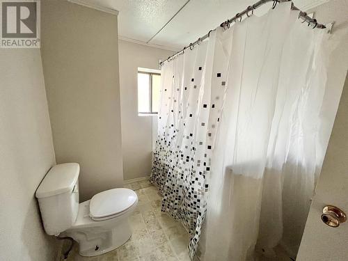 9502 Taylor Avenue, Hudsons Hope, BC - Indoor Photo Showing Bathroom