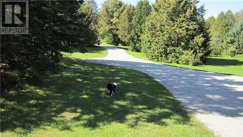 Long private driveway - 492963 Southgate Road 49, Southgate, ON - Outdoor With View