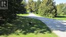 Long private driveway - 492963 Southgate Road 49, Southgate, ON  - Outdoor With View 