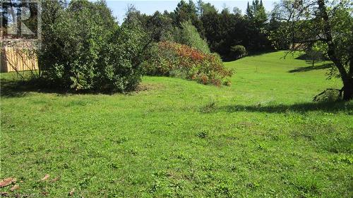 1 acre electric fenced horse paddock with lean-to - 492963 Southgate Road 49, Southgate, ON - Outdoor