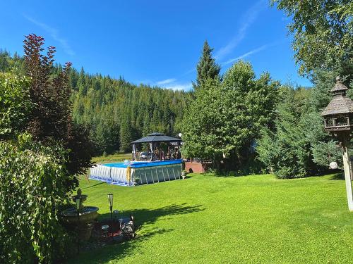2505 Barley Road, Rossland, BC - Outdoor With Backyard