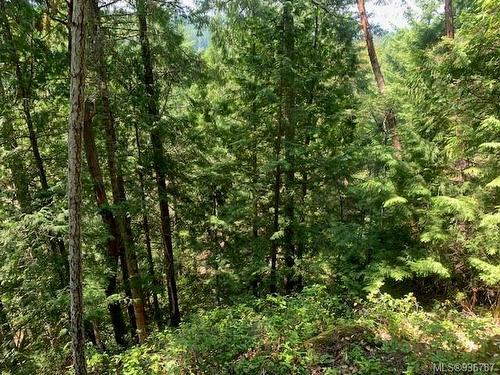 409 Pilkey Point Rd, Thetis Island, BC 