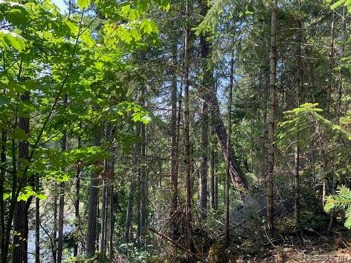 409 Pilkey Point Rd, Thetis Island, BC 